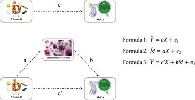 Mediation Effects of IL-1β and IL-18 on the Association Between Vitamin D Levels and Mild Cognitive Impairment Among Chinese Older Adults: A Case–Control Study in Taiyuan, China